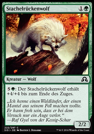 Stachelrckenwolf