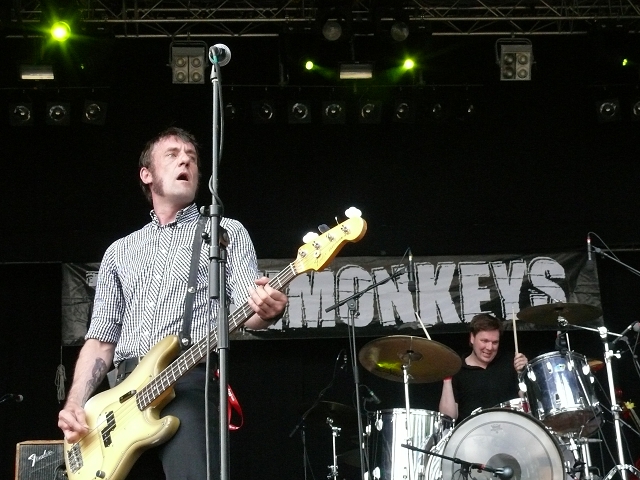 Thrashmonkeys