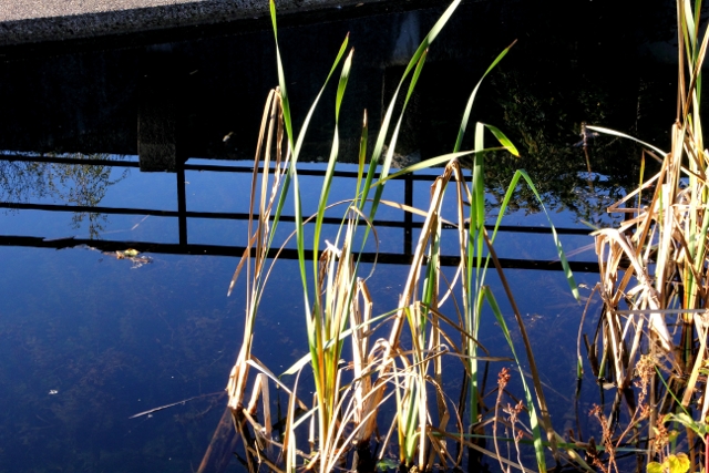 Landschaftspark