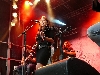 Eluveitie